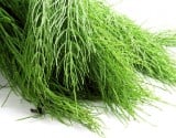 Z herbára - HARVEST HERBAL