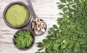 Ajurvédsky poklad - Moringa oleodendron