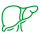 Orgány
