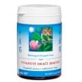 007-vyvanuti-draci-jeskyne-tcm-herbs 007-vyvanuti-draci-jeskyne-tcm-herbs