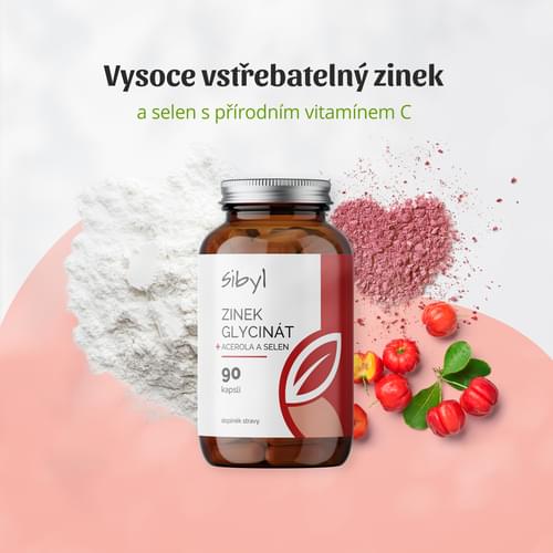 Zinek-Sibyl-slozeni