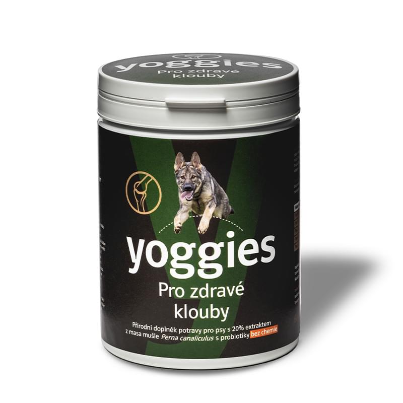 2924-yoggies-extrakt-z-musli-pro-zdrave-psi-klouby-s-probiotiky-600g