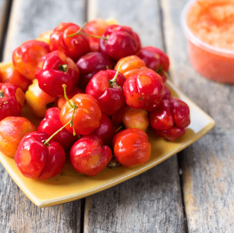 Acerola-1