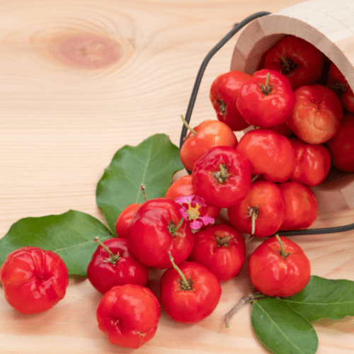 acerola-2