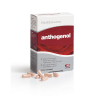 Anthogenol