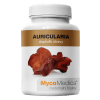 auricularia-jidasovo-ucho auricularia-jidasovo-ucho
