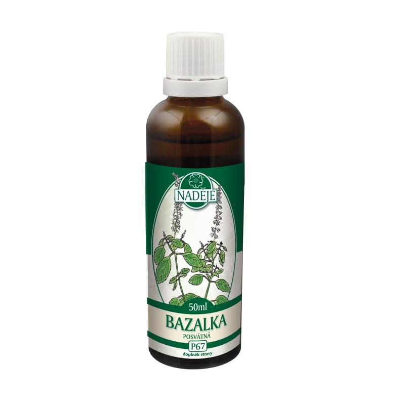 Bazalka posvátná Bazalka posvátná
