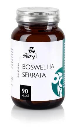Boswellia serrata SIBYL 90 cps
