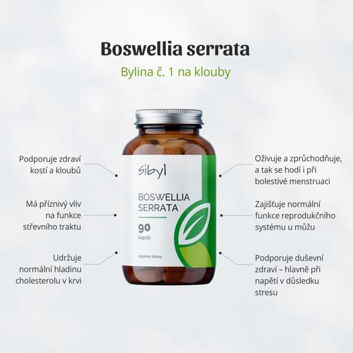 Boswellia serrata silny extrakt