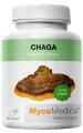 Chaga
