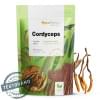 cordyceps bio prášek 100 g mycomedica cordyceps bio prášek 100 g mycomedica