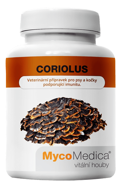 Coriolus-mycomedica-vitalni-houby
