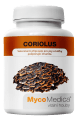 Coriolus-mycomedica-vitalni-houby