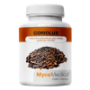 Coriolus-mycomedica-vitalni-houby Coriolus-mycomedica-vitalni-houby