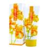 cytovital-energy cytovital-energy
