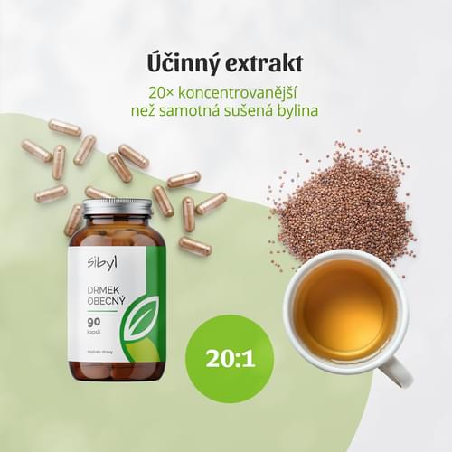 Drmek extrakt