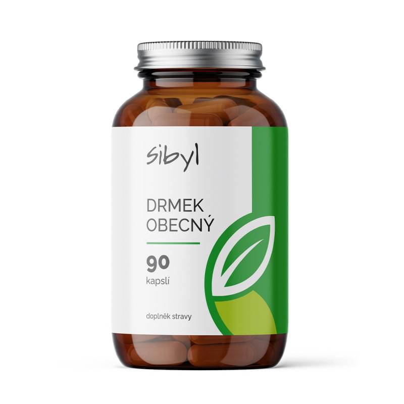 Drmek - vitex agnus