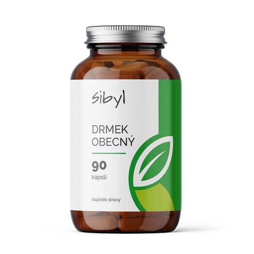 Drmek - vitex agnus
