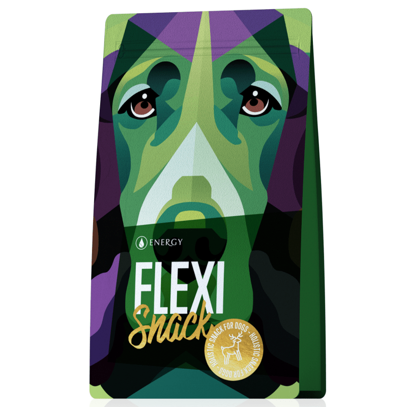 Flexi Snack 100g Energy