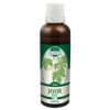Javor Babyka (P17) Javor Babyka (P17)