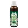 Bacopa (P70) Bacopa (P70)