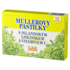 Müllerovy pastilky s islandským lišejníkem a vitamínem C