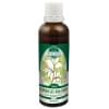 P20 Ginkgo biloba P20 Ginkgo biloba