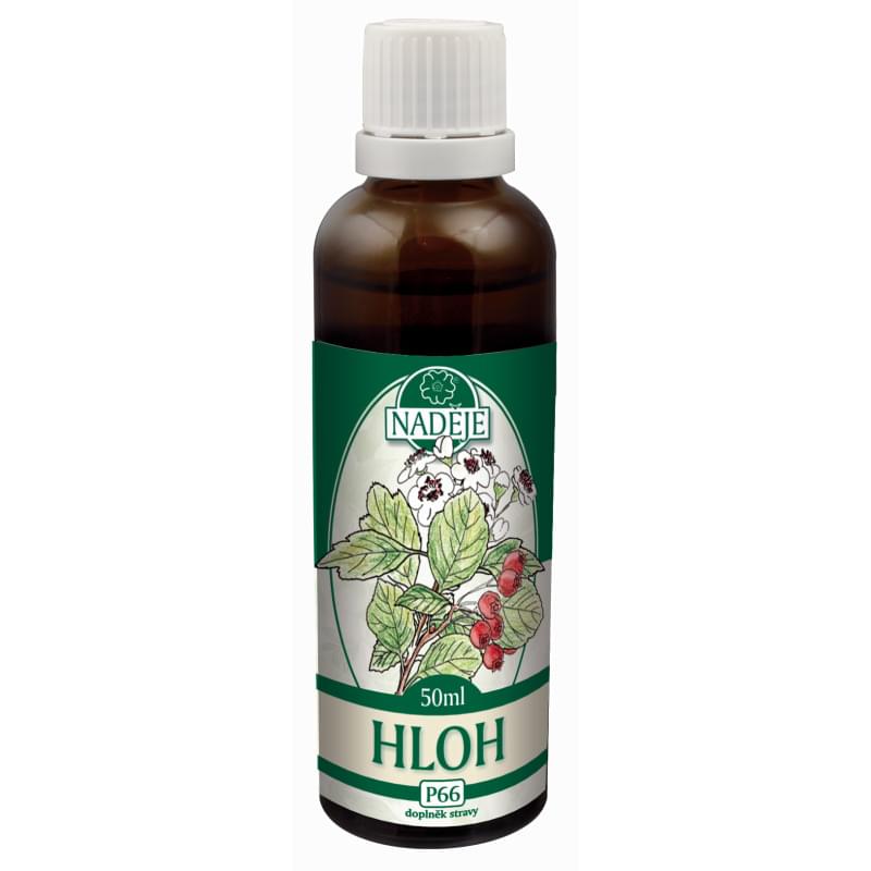 P66 hloh P66 hloh