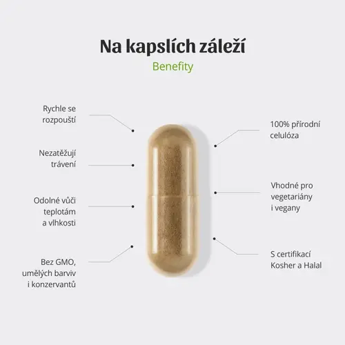 kapsle-2.1779621423