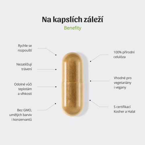 kapsle