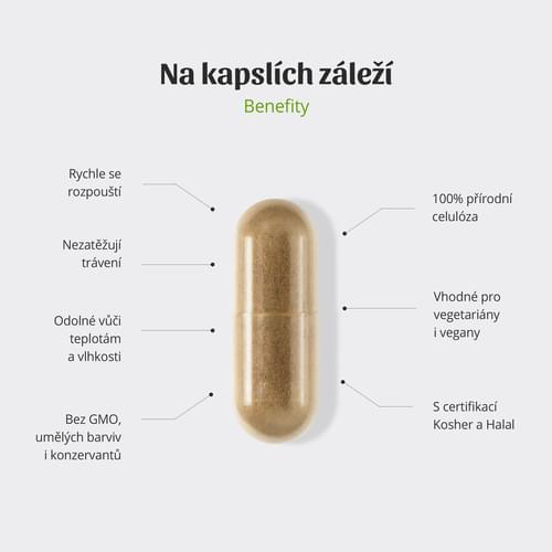 Kapsle-Sibyl