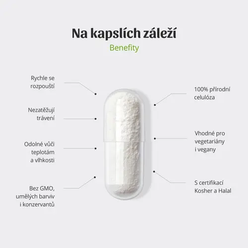 Kapsle-sibyl