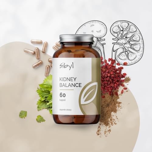 KidneyBalance SIBYL