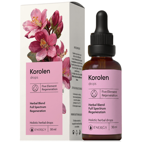 Korolen Energy Korolen Energy