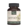 Kotvicnik-serafin
