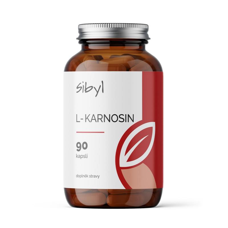 L karnosin Sibyl L karnosin Sibyl