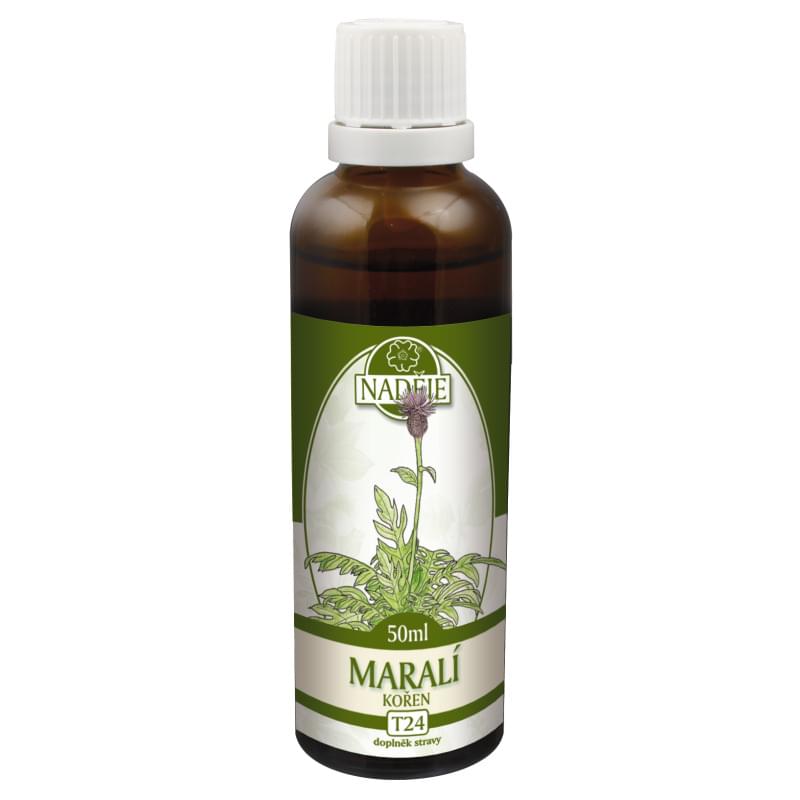T24 Leuzea (Marali koren) T24 Leuzea (Marali koren)