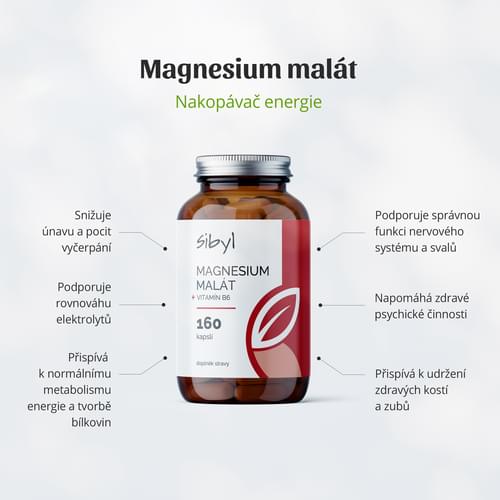 Magnesium malát B6 SIBYL