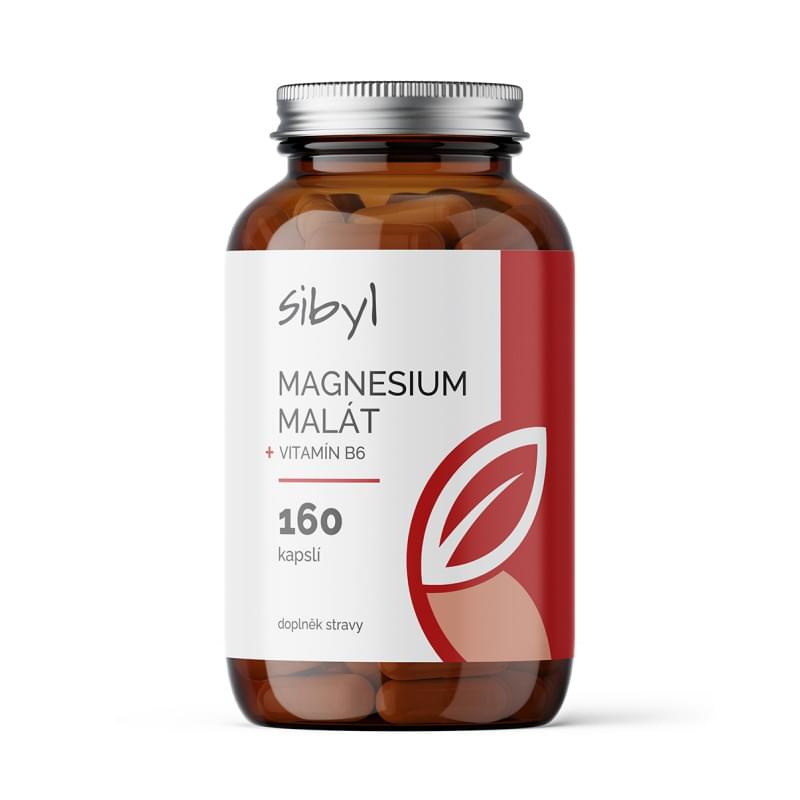 Magnesium malát + B6
