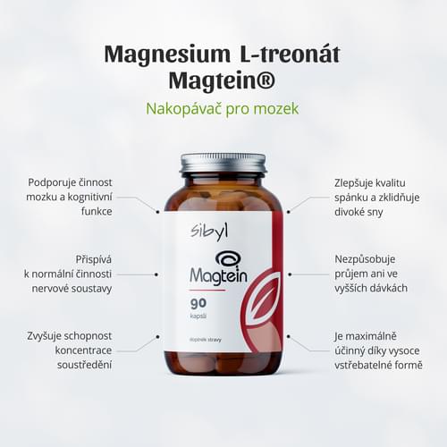 Magtein_new kopie
