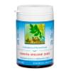 obnova-spalene-zeme-015-tcm-herbs obnova-spalene-zeme-015-tcm-herbs