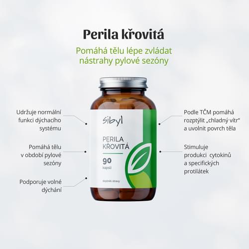 Perila-krovita-ucinky