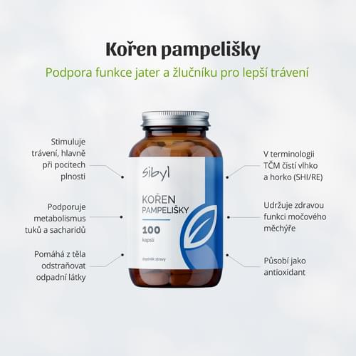 prirodni_lekarna_koren_pampelisky_1
