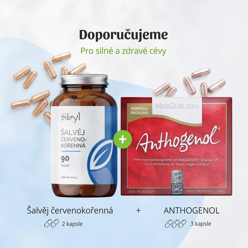 šalvěj červenokořenná anthogenol kombinace