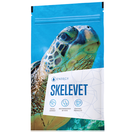 Skelevet Energy