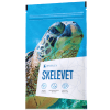 Skelevet Energy Skelevet Energy