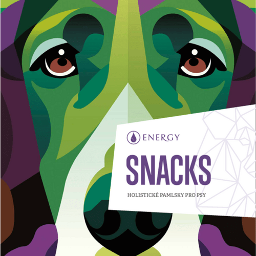 Snacks Energy