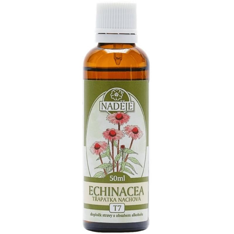 T7 echinacea
