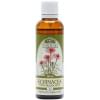 T7 echinacea T7 echinacea