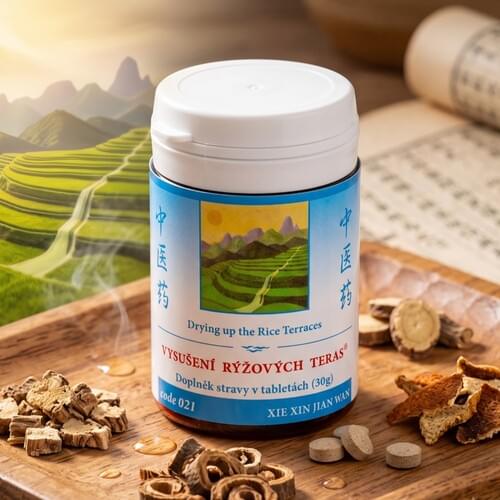 Vysušení-rýžových-teras-xie-xin-jian-wan-TCM-herbs